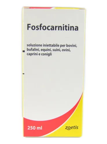 Fosfocarnitina Zoetis intramuscolare o endovena 1 flacone 250 ml
