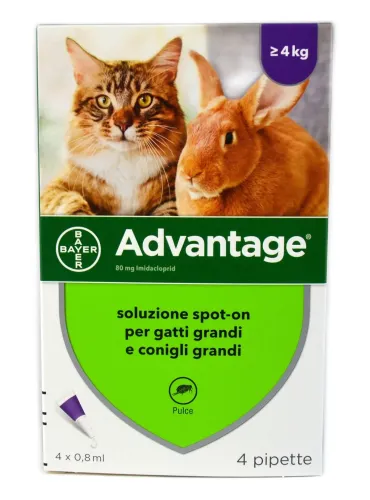 Advantage Soluzione 80 Spot-oni Bayer 80 mg 4 pipette 0.8 ml