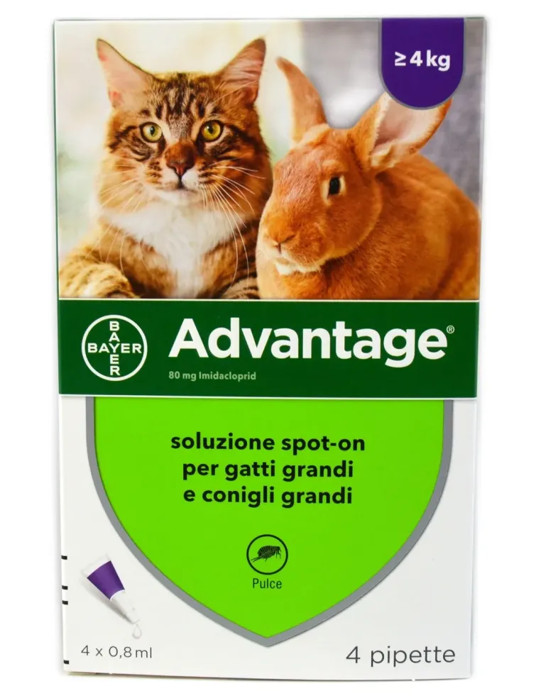 Advantage Soluzione 80 Spot-oni Bayer 80 mg 4 pipette 0.8 ml