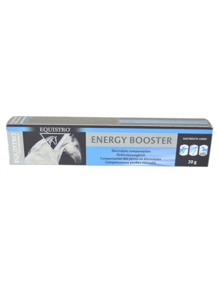 Energy Booster Equistro Equality siringa pasta orale 20 g