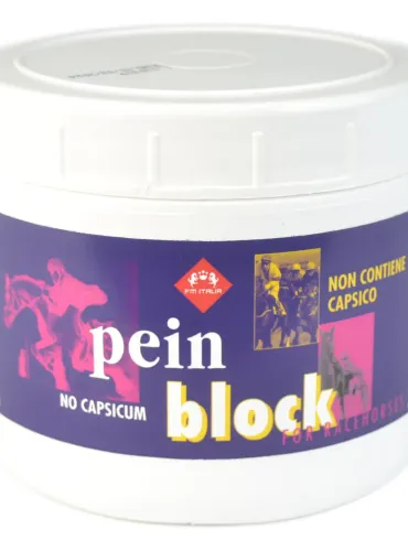 Pein Block FM Italia uso esterno vaso 500 ml