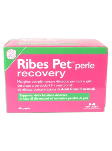Ribes Pet Recovery NBF 60 perle