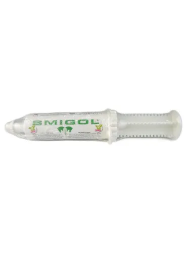 Smigol Acme sospensione orale siringa 100 g