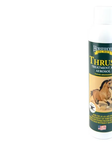 Horseshoer's Secret Trush Treatment Aid Chifa 207 ml