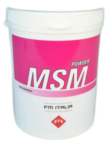 MSM Powder FM Italia 600 gr.
