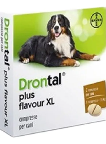 Drontal Plus Flavour XL Bayer 2 compresse